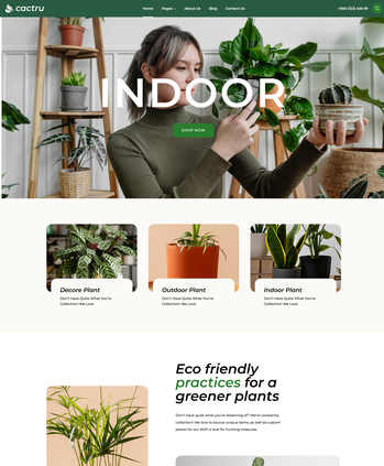 独特的植物工作室体验